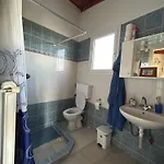 Ziras Traditional
